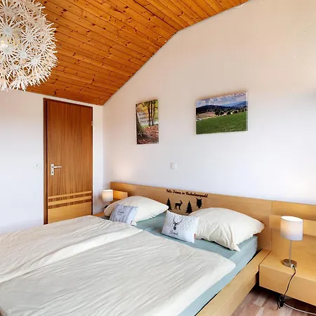 Ferienwohnung Klug Schonach im Schwarzwald Exterior foto